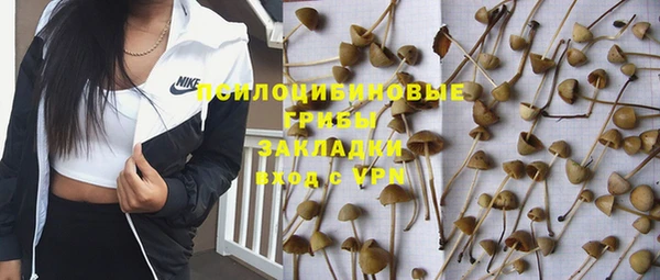 мяу мяу мука Гусев