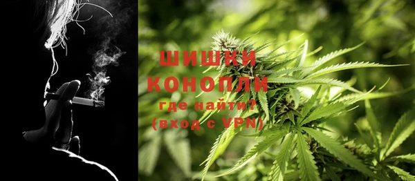 крисы Гусь-Хрустальный